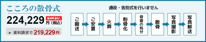 ������̎U���� ��������