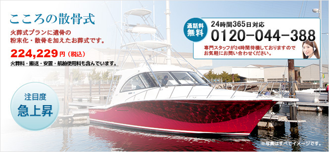 ������̎U����